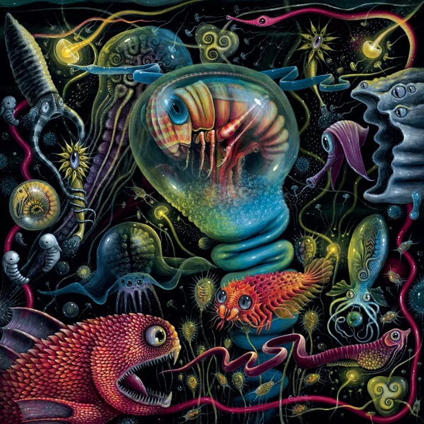 R.S. Connett: Creatures Of A Luminescent Ocean by R.S. Connett