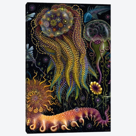 Devouring Starjelly Canvas Print #RCN6} by R.S. Connett Canvas Print