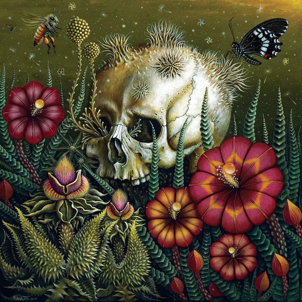 Eye Of The Beholder: Dust by R.S. Connett