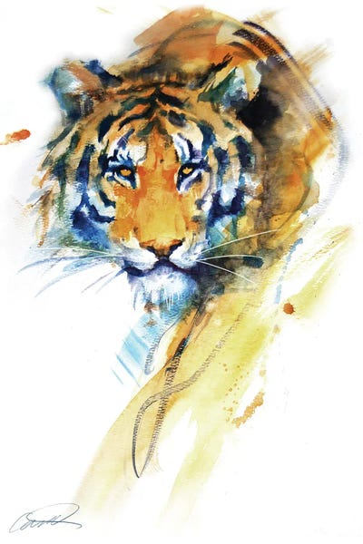 Tiger Strokes by Robert Campbell framed wall art