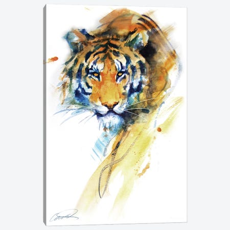 Tiger Strokes Canvas Print #RCP11} by Robert Campbell Canvas Artwork
