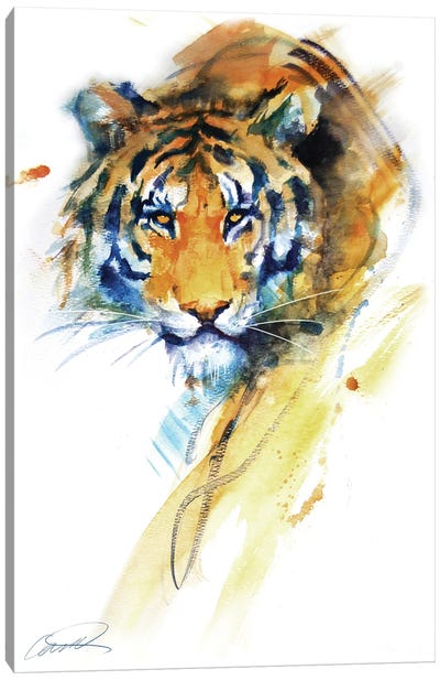Tiger Strokes Canvas Art Print