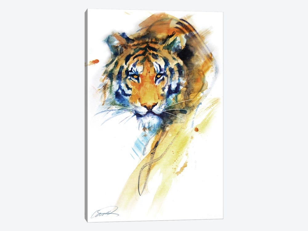Tiger Strokes by Robert Campbell 1-piece Canvas Art