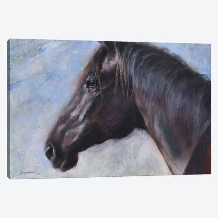 Equine Encounter Canvas Print #RCP2} by Robert Campbell Art Print