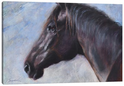 Equine Encounter Canvas Art Print