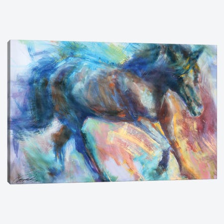 Equine Fiesta Canvas Print #RCP4} by Robert Campbell Canvas Artwork