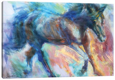 Equine Fiesta Canvas Art Print