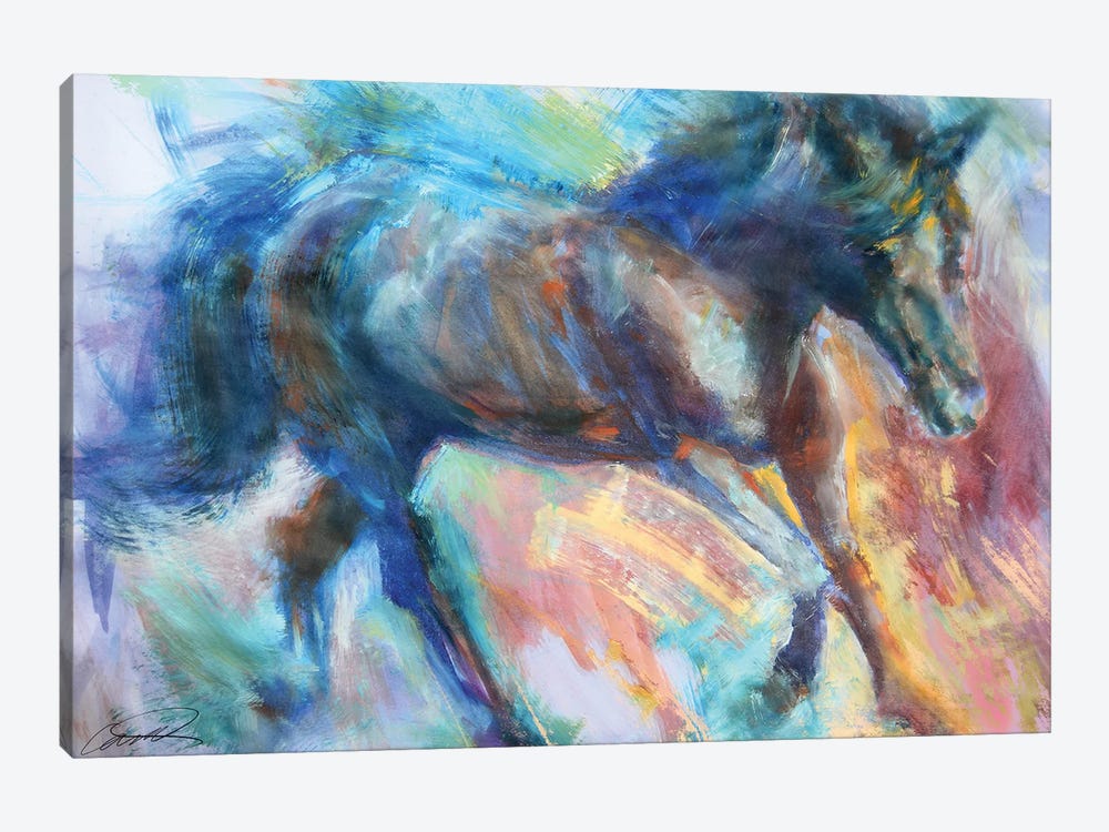 Equine Fiesta by Robert Campbell 1-piece Canvas Print