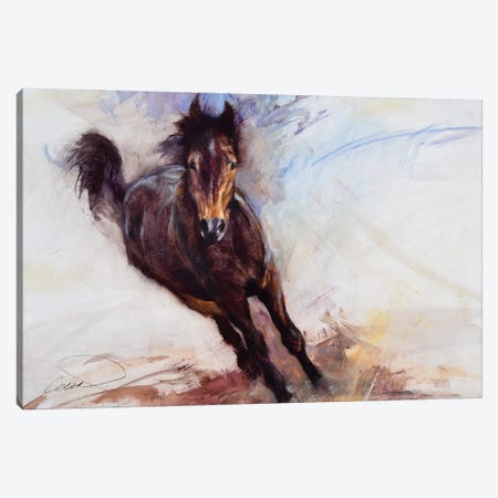 Horse Having Fun Canvas Print #RCP5} by Robert Campbell Canvas Art