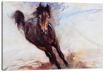 Horse Having Fun Canvas Art Print