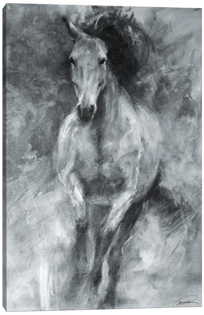 Incoming Equine Canvas Art Print
