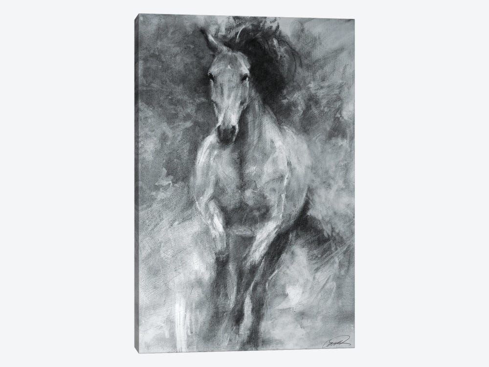 Incoming Equine by Robert Campbell 1-piece Canvas Print