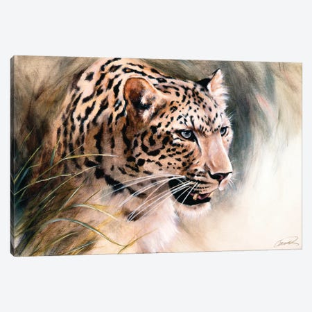 Leopard's Lair Canvas Print #RCP7} by Robert Campbell Canvas Wall Art