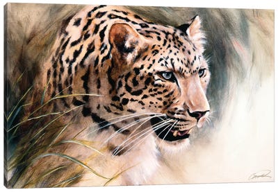 Leopard's Lair Canvas Art Print