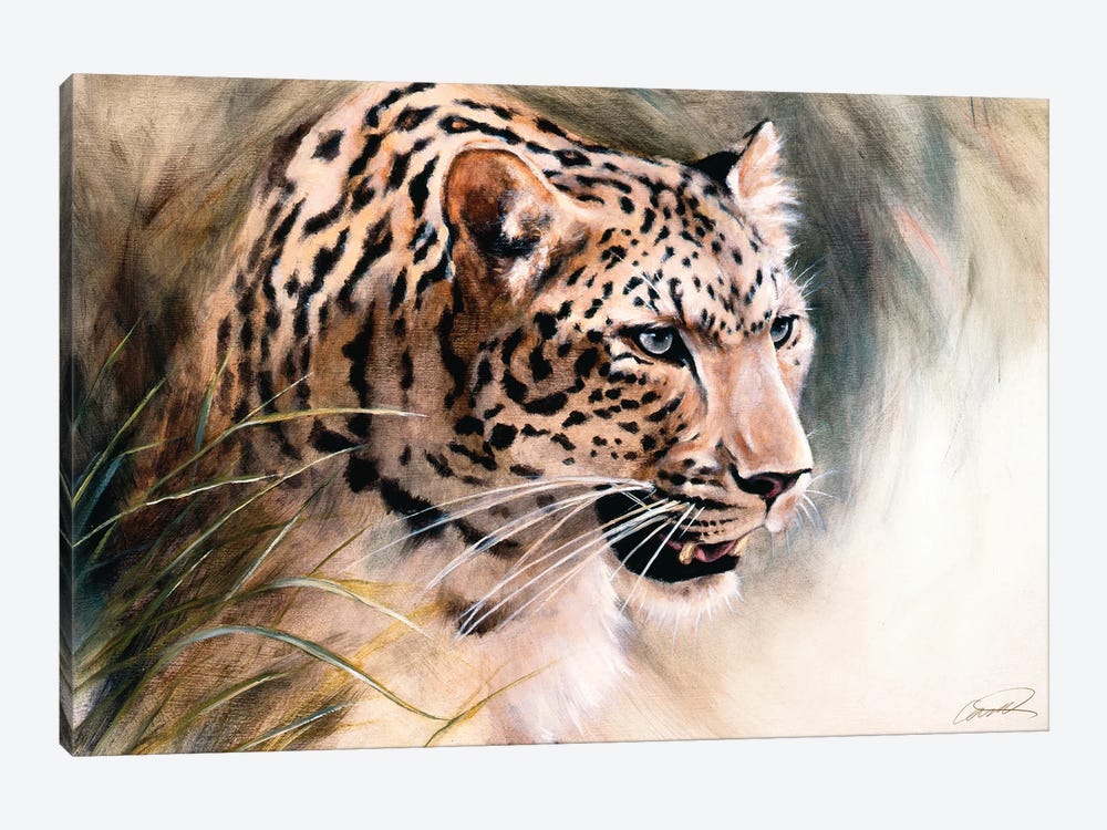 Leopard's Lair by Robert Campbell 1-piece Canvas Wall Art