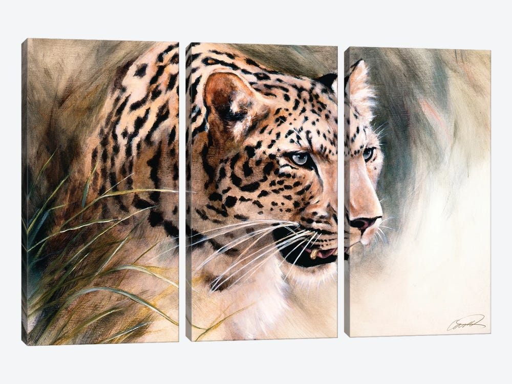 Leopard's Lair by Robert Campbell 3-piece Canvas Artwork