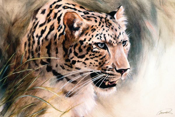 Robert Campbell: Leopard's Lair by Robert Campbell