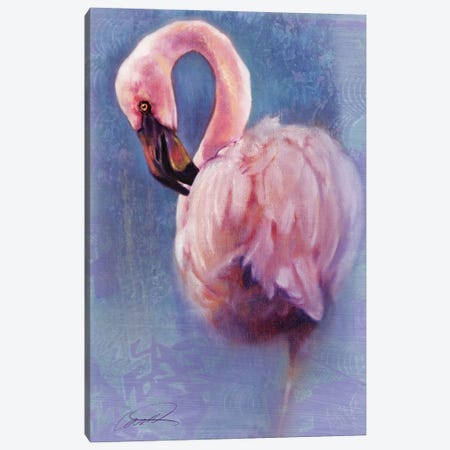 Pretty In Pink (Flamingo) Canvas Print #RCP8} by Robert Campbell Art Print