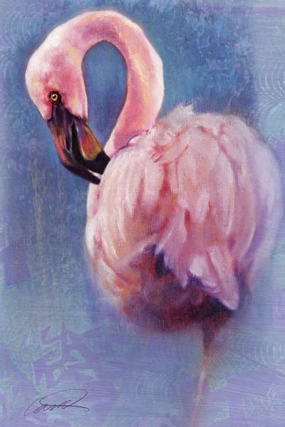 Robert Campbell: Pretty In Pink (Flamingo) by Robert Campbell