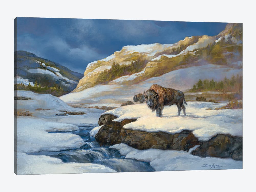 Buffalo by Russ Docken 1-piece Canvas Art Print