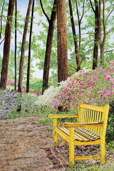 Nature Walks by James Redding canvas print