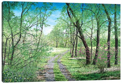 Spring's Poetry Canvas Art Print - James Redding