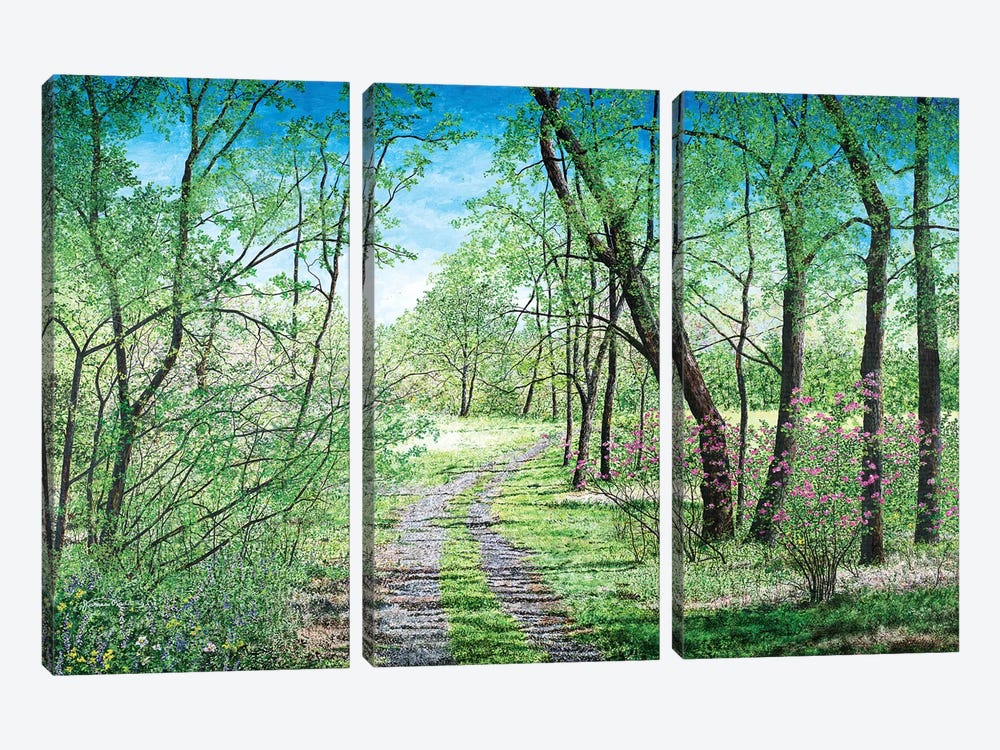 Spring's Poetry by James Redding 3-piece Canvas Print
