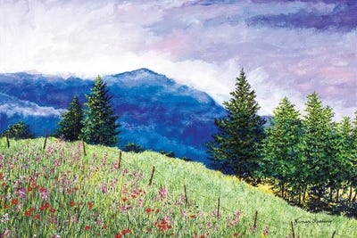 Summer Blues by James Redding canvas print