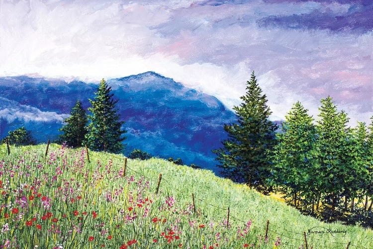 Summer Blues by James Redding wall art