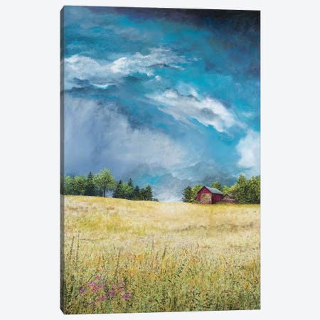 Approaching Storm Canvas Print #RDD16} by James Redding Canvas Wall Art