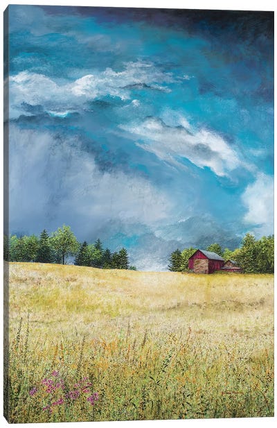 Approaching Storm Canvas Art Print - James Redding