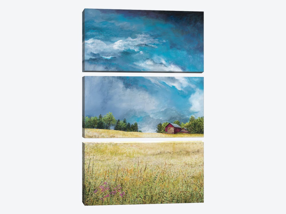 Approaching Storm by James Redding 3-piece Art Print