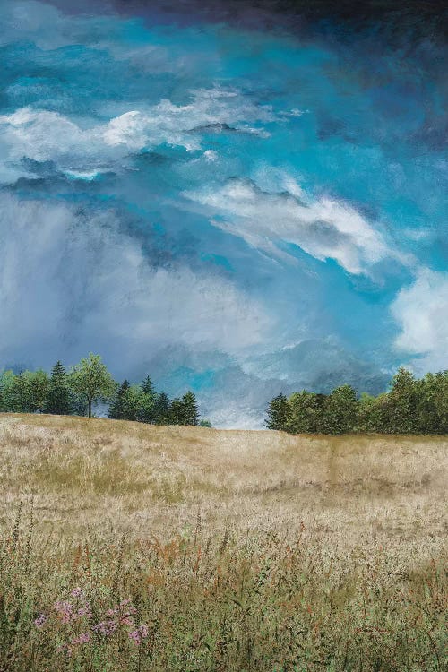 Approaching Storm (no barn)