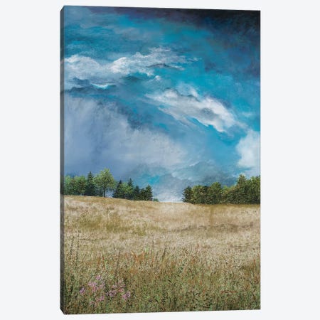 Approaching Storm (no barn) Canvas Print #RDD17} by James Redding Canvas Art