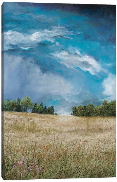 Approaching Storm (no barn) Canvas Art Print - James Redding