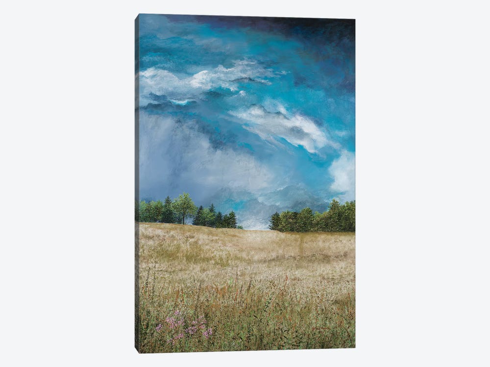 Approaching Storm (no barn) by James Redding 1-piece Canvas Artwork