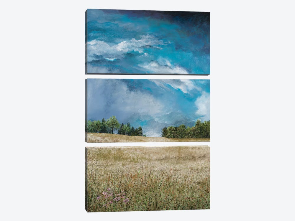 Approaching Storm (no barn) by James Redding 3-piece Canvas Wall Art