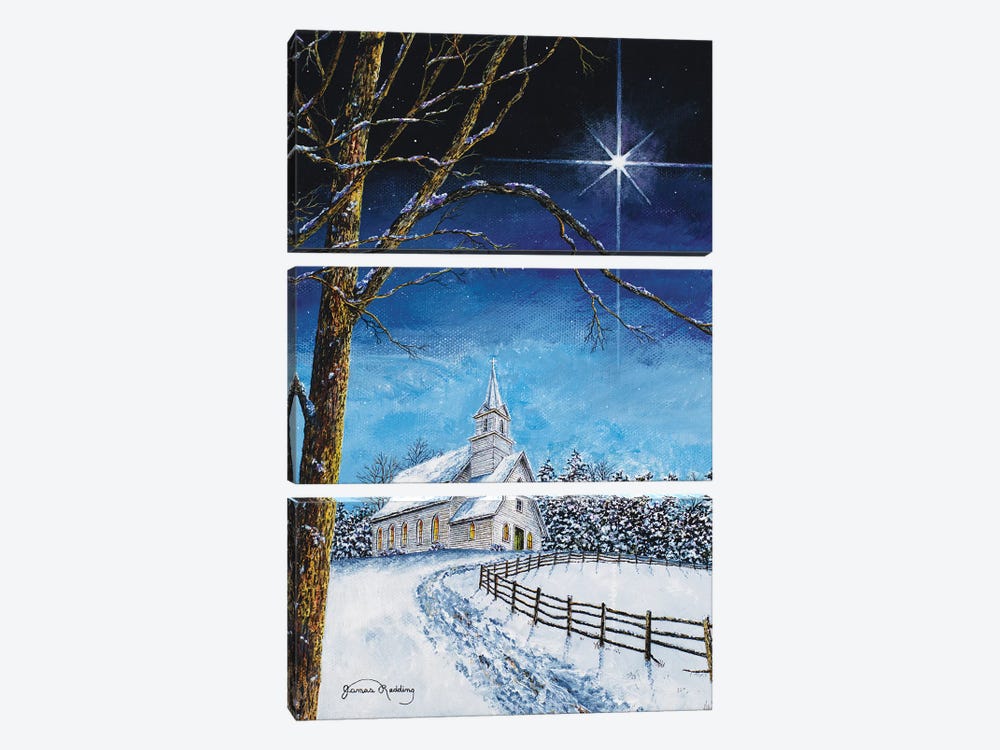 Bright Star by James Redding 3-piece Canvas Art Print