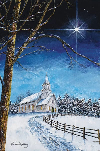 Winter Wonderland: Bright Star by James Redding