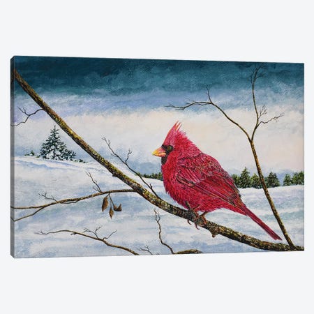 Cardinal In A Pastel Sky Canvas Print #RDD22} by James Redding Canvas Art