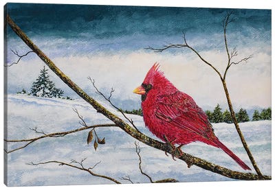 Cardinal In A Pastel Sky Canvas Art Print - James Redding