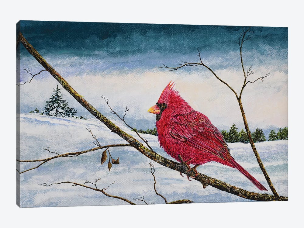 Cardinal In A Pastel Sky by James Redding 1-piece Canvas Art