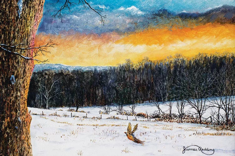Fiery Sky by James Redding wall art