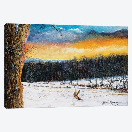Fiery Sky Canvas Print #RDD27} by James Redding Art Print