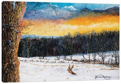 Fiery Sky Canvas Art Print - James Redding