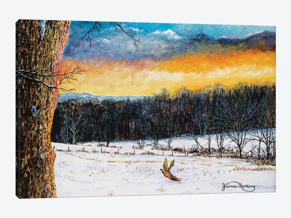 Fiery Sky by James Redding 1-piece Canvas Art Print