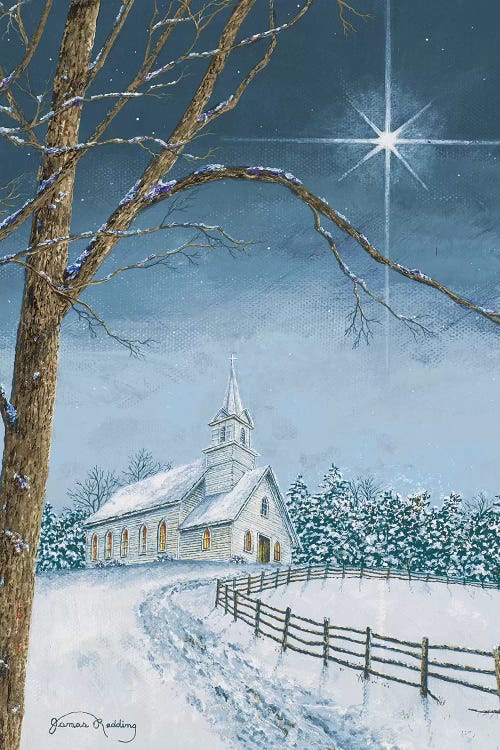 Shining Holiday Star by James Redding wall art