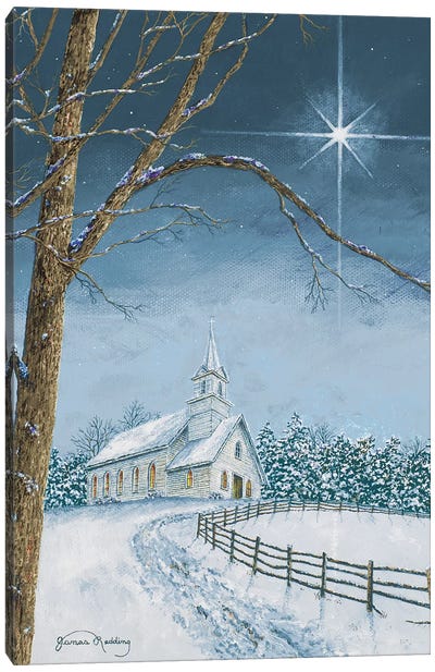 Shining Holiday Star Canvas Art Print - James Redding