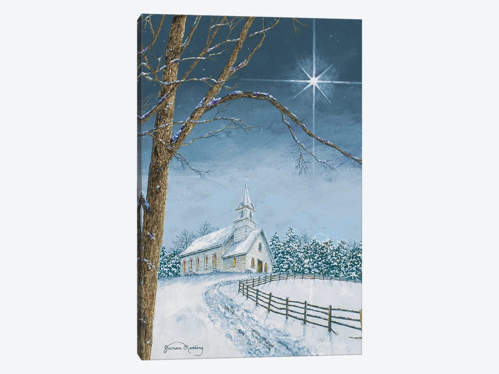 Shining Holiday Star by James Redding 1-piece Canvas Artwork