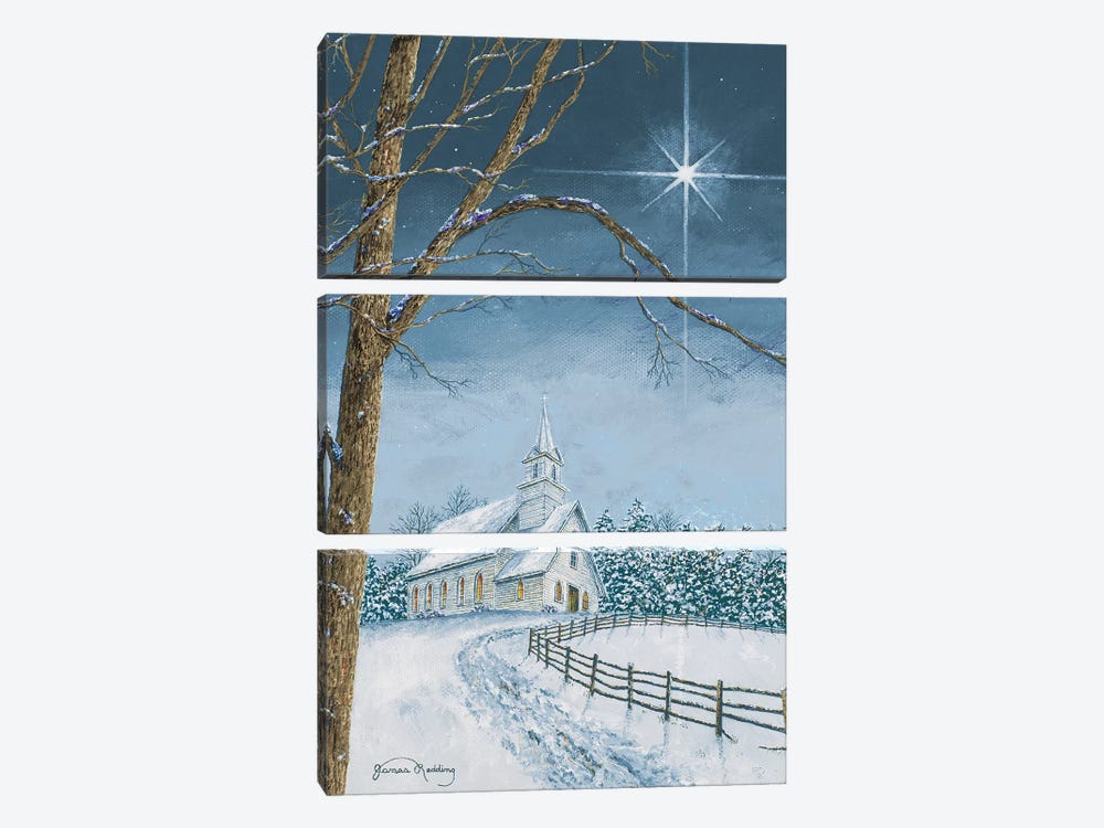 Shining Holiday Star by James Redding 3-piece Canvas Artwork